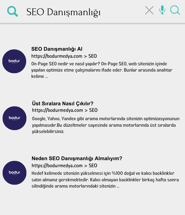 Organik Seo