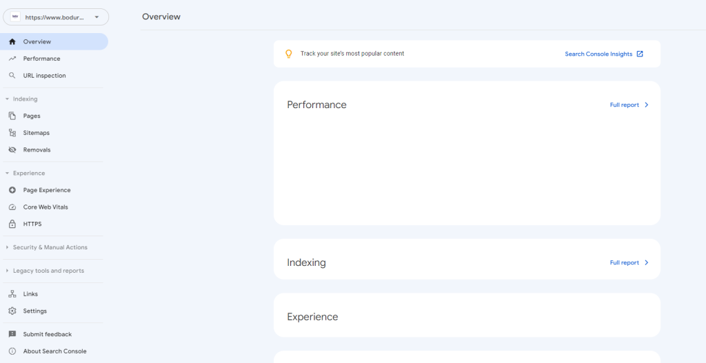 Google Search Console Performans

