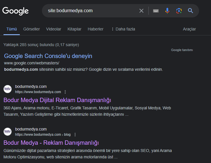 Google Kullanarak İndex Sorgulama Nasıl Yapılır ?