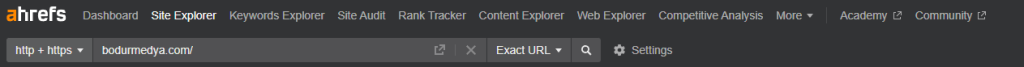 Ahrefs Backlink 