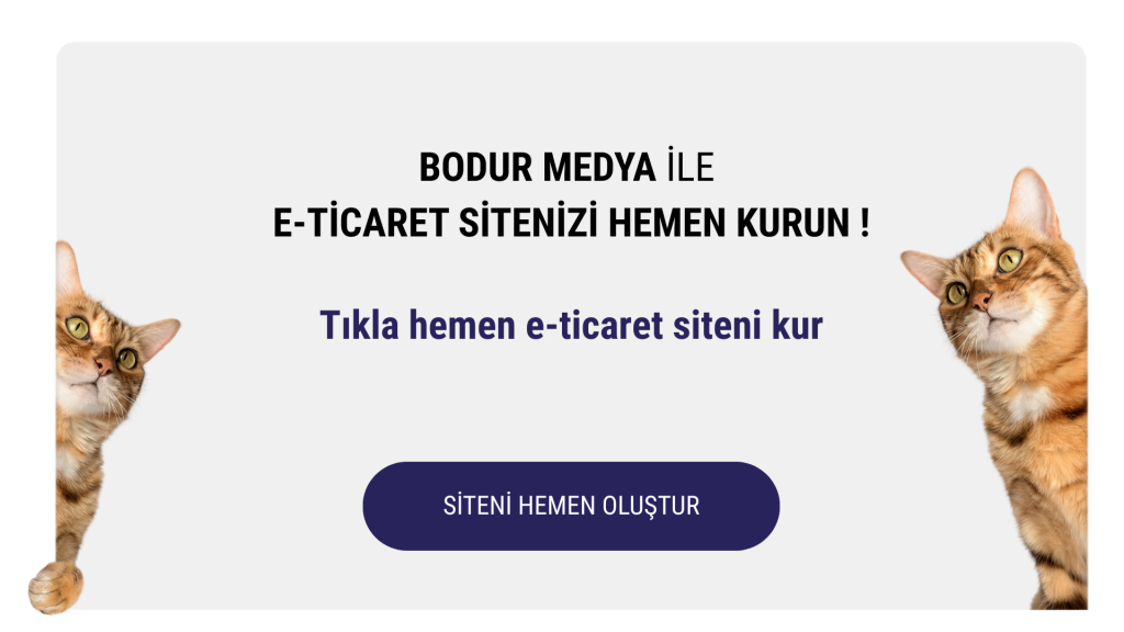 e-ticaret