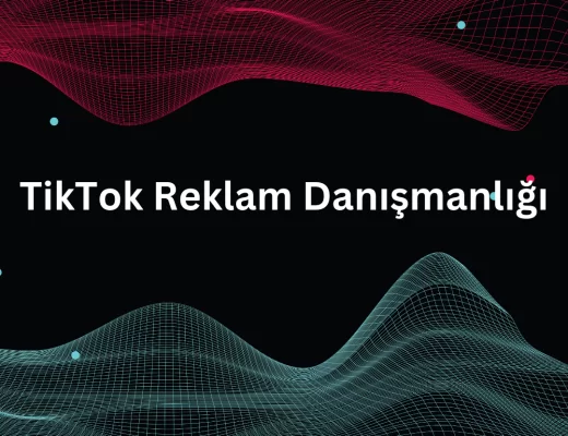 TikTok Reklam Danışmanlığı