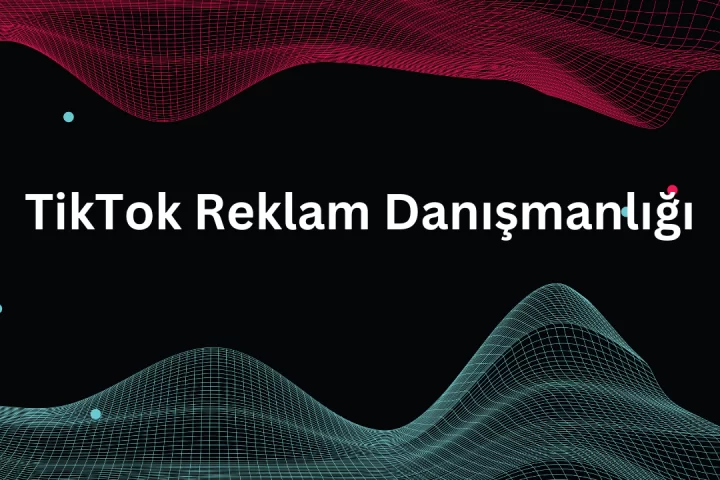 TikTok Reklam Danışmanlığı