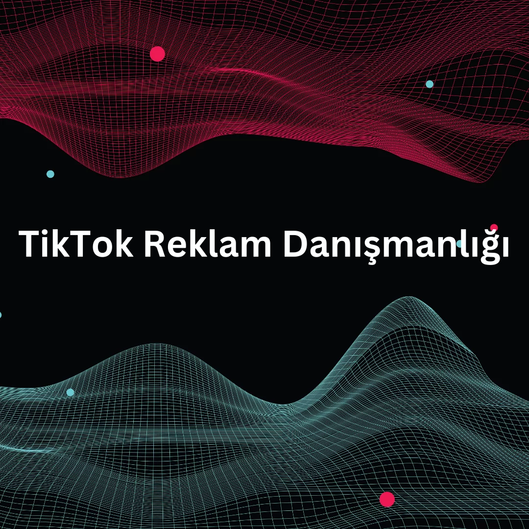 TikTok Reklam Danışmanlığı